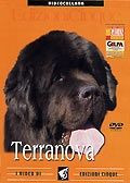 TERRANOVA DVD