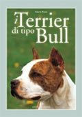 TERRIER DI TIPO BULL