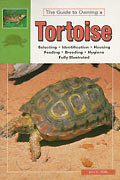 TORTOISE GUIDE TO OWNING