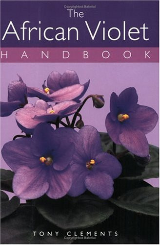 AFRICAN VIOLET+++