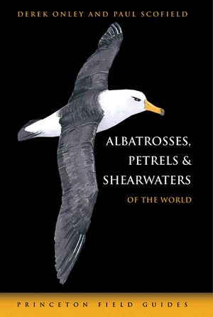 ALBATROSSES, PETRELS AND SHEARWATERS
