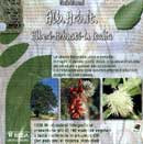 ALBERI-ARBUSTI-IN ITALIA