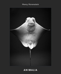 ANIMALIA