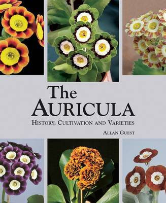 THE AURICOLA