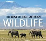 THE BEST OF EAST AFRICAN WILDLIFE