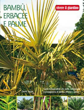 BAMBU,  ERBACEE E PALME