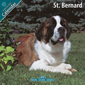 ST. BERNARD