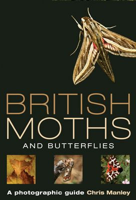 BRITISH MOTHS AND BUTTERFLIES