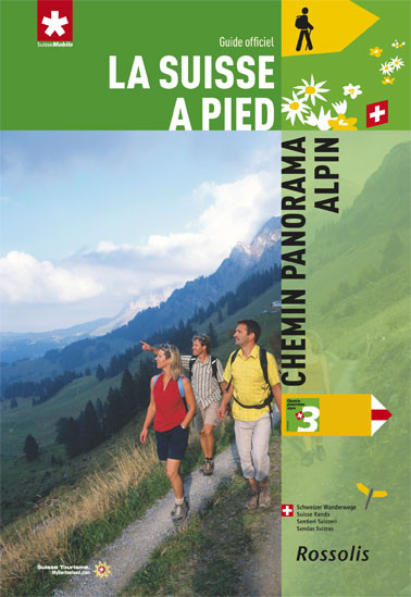 LA SUISSE A PIED CHEMIN PANORAMA ALPIN