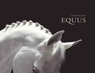 EQUUS