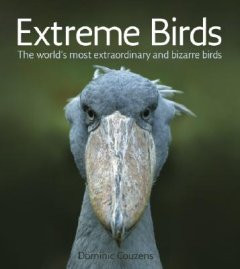 EXTREME BIRDS