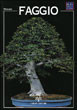 FAGGIO