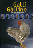 GALLI E GALLINE