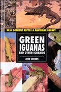 GREEN IGUANAS AND OTHER IGUANIDS