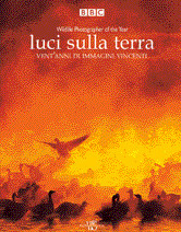 LUCI SULLA TERRA