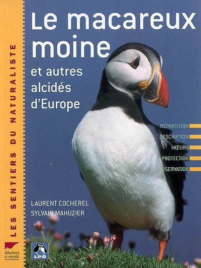 MACAREUX MOINE