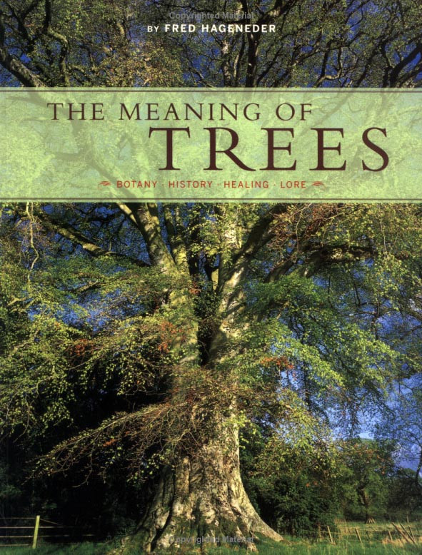 MEANING OF TREES