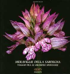MERAVIGLIE DELLA SARDEGNA