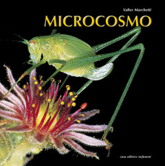 MICROCOSMO