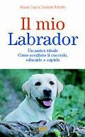 MIO LABRADOR