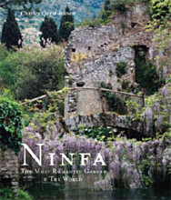 NINFA