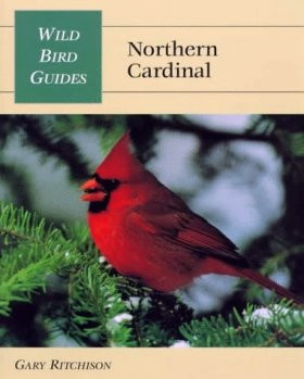 NORTHERN CARDINAL
