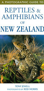 REPTILES & AMPHIBIANS OF NEW ZEALAND