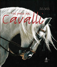 NEL PAESE DEI CAVALLI
