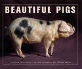 BEAUTIFUL PIGS