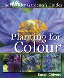 PLANTING FOR COLOUR
