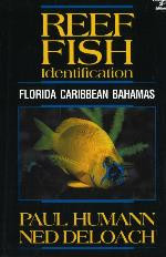 REEF FISH IDENTIFICATION FLORIDA CARIBBEAN BAHAMAS