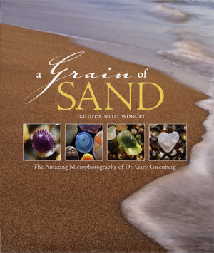 GRAIN OF SAND