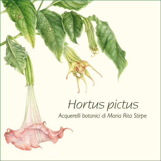 HORTUS PICTUS