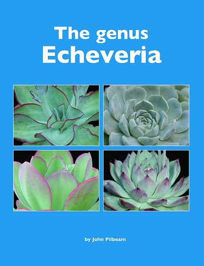 THE GENUS ECHEVERIA