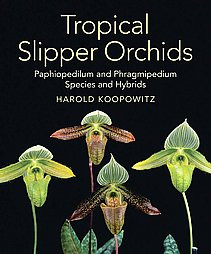 TROPICAL SLIPPER ORCHIDS