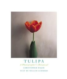 TULIPA