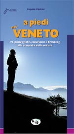 A PIEDI NEL VENETO