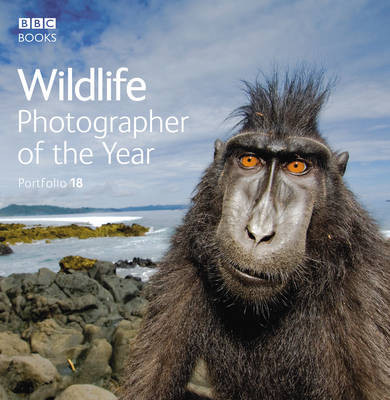 WILDLIFE PHOTOGRAPHER OF THE YEAR