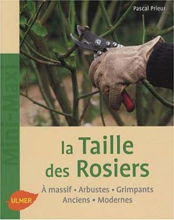 LA TAILLE DES ROSIERS