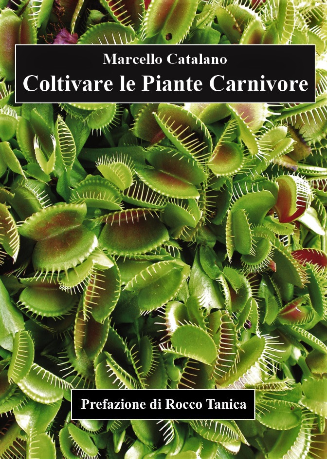 COLTIVARE LE PIANTE CARNIVORE