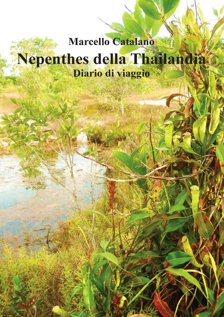 NEPENTHES DELLA THAILANDIA