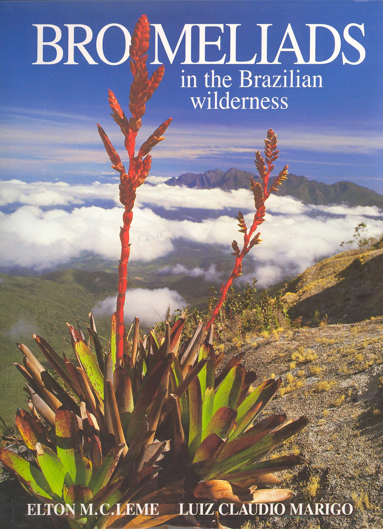 BROMELIADS IN THE BRAZILIAN WILDERNESS