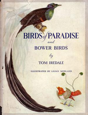 BIRDS OF PARADISE AND BOWER BIRDS