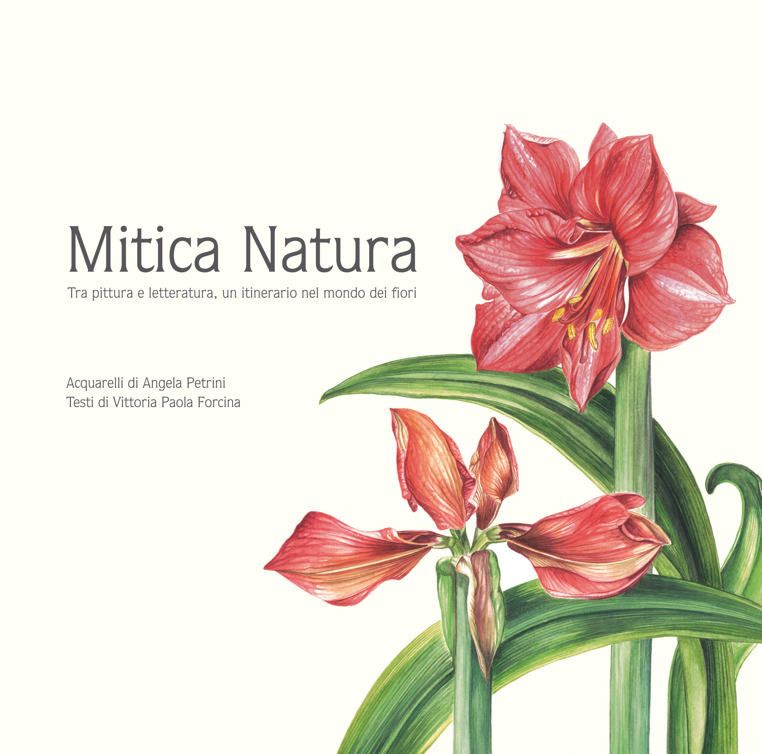 MITICA NATURA