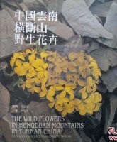 THE WILD FLOWERS IN THE HENGDUAN MOUTAINS IN YUNNAN CHINA