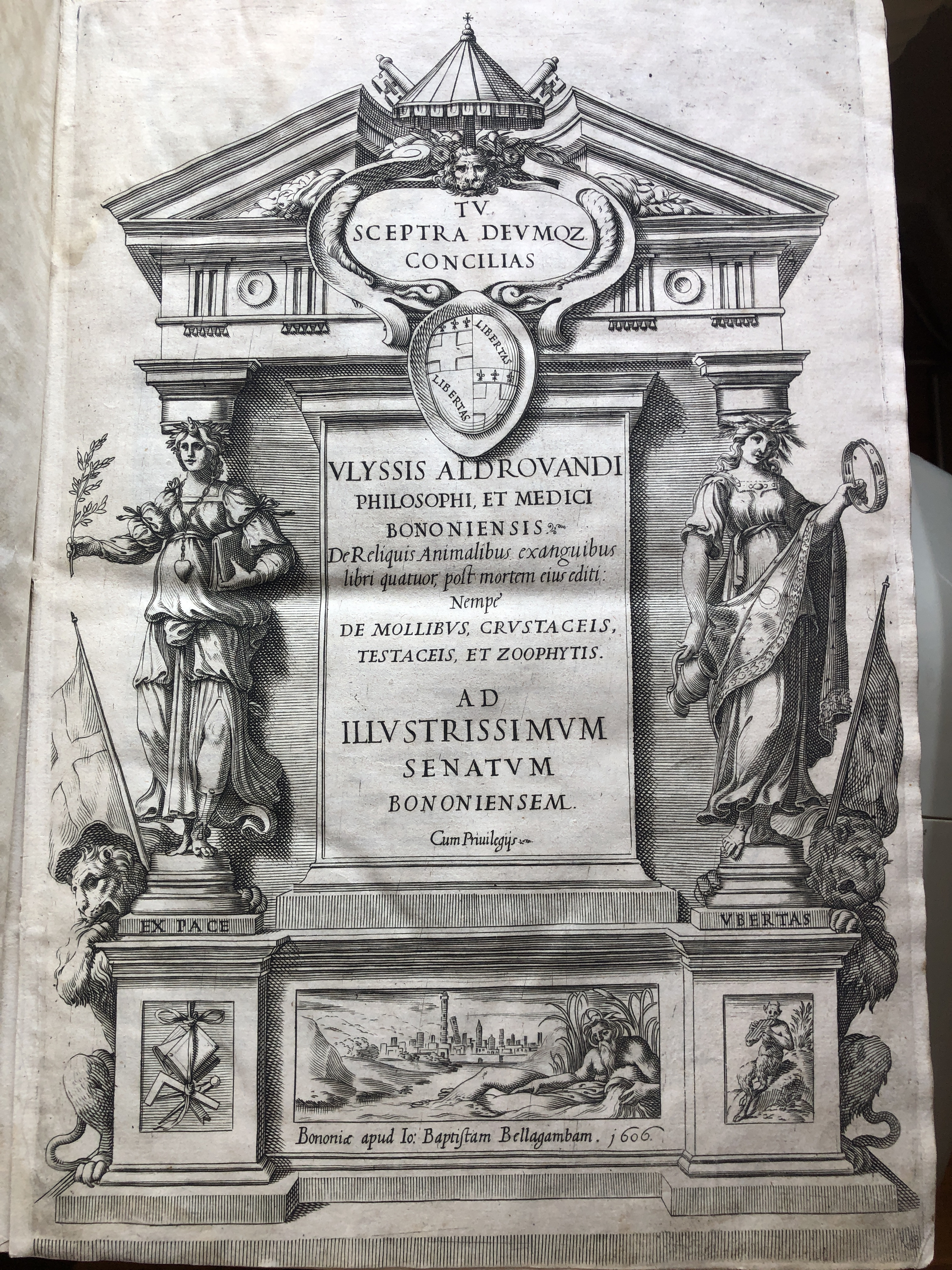 DE RELIQUIS ANIMALIBUS EXANGUIBUS LIBRI QUATUOR POST MORTEM EIUS EDITI NEMPE