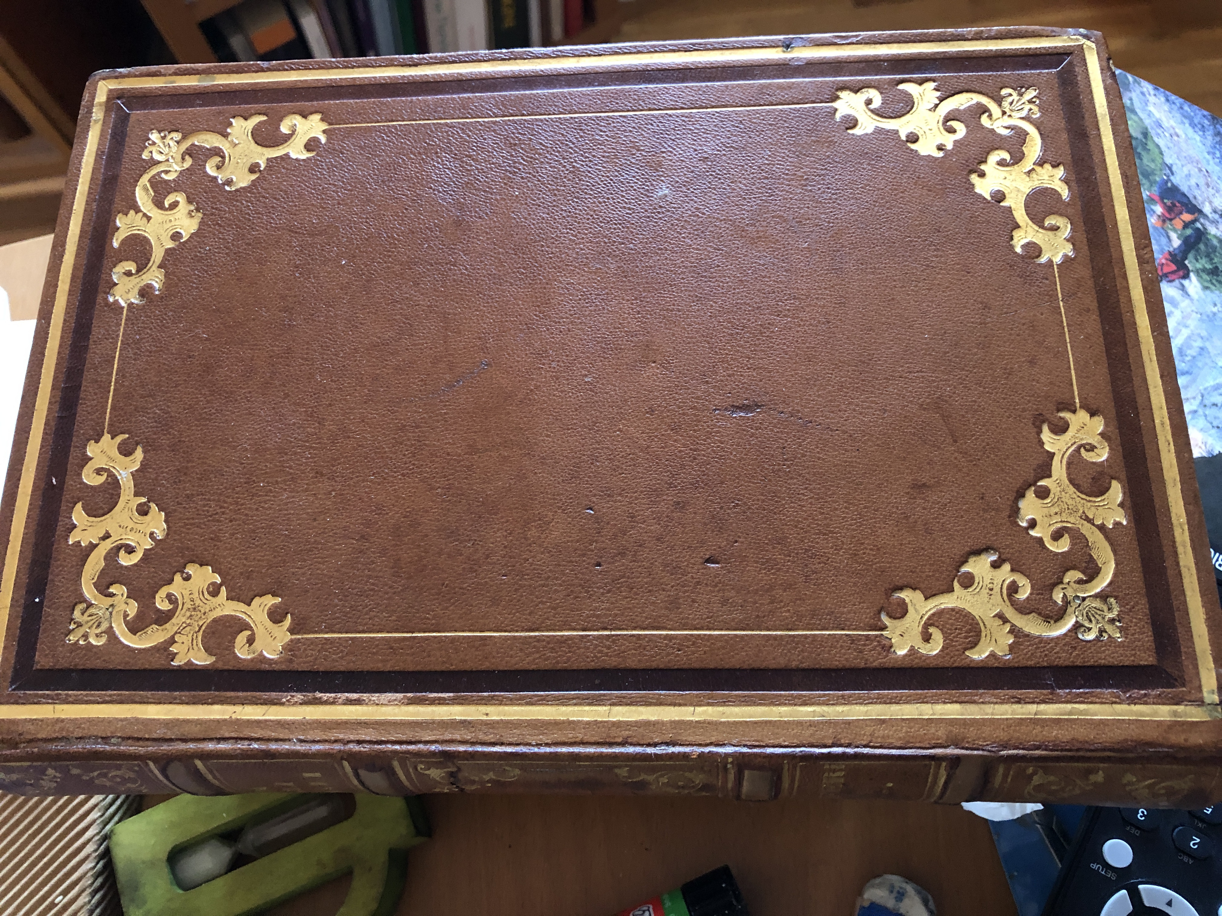 LA VITA DEGLI ANIMALI : DSCRIZIONE GENERALE DEL REGNO ANIMALE