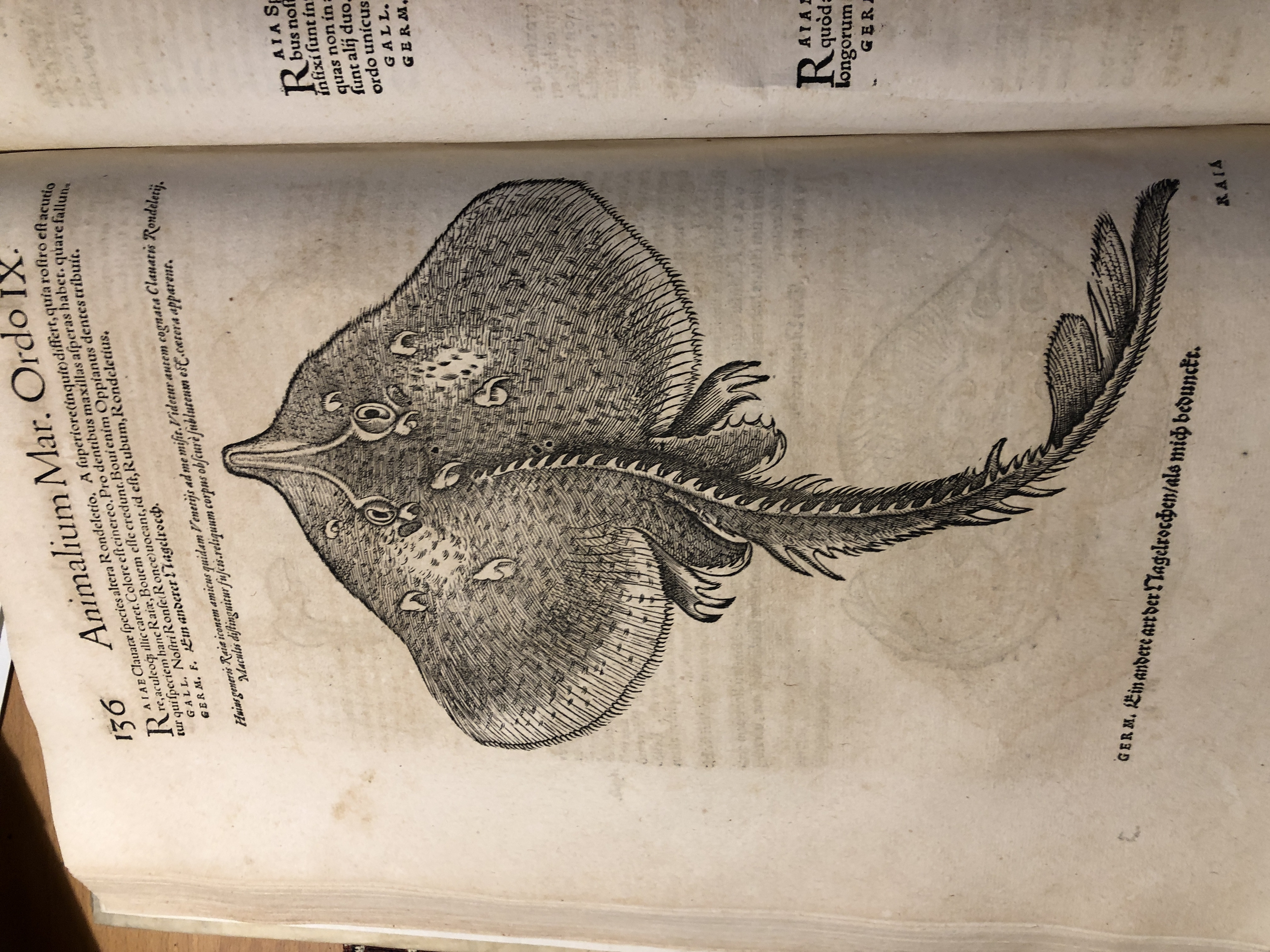 NOMENCLATOR AQUATILIUM ANIMANTIUM