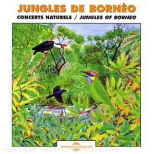 JUNGLES DE BORNEO CD ROM
