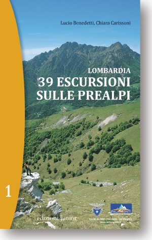 LOMBARDIA 39 ESCURSIONI SULLE PREALPI